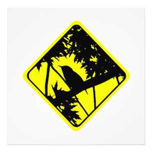 House Wren Warning Sign Love Bird Watching Fotodruck