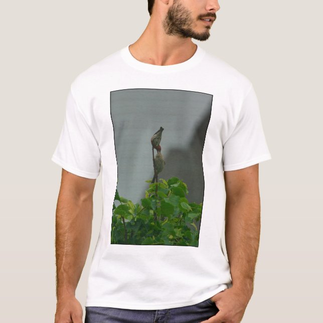 Housefinch Courthip #1 T-Shirt (Vorderseite)