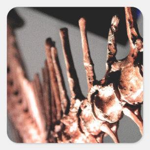 Houston-Museum der Naturwissenschaft Quadratischer Aufkleber