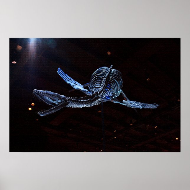 Houston Museum of Natural Science Poster (Vorne)