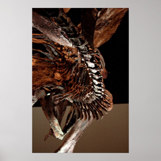 Houston Museum of Natural Science Poster (Vorne)
