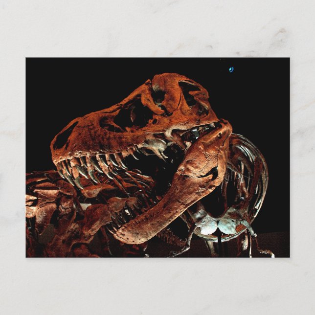 Houston Museum of Natural Science Postkarte (Vorderseite)