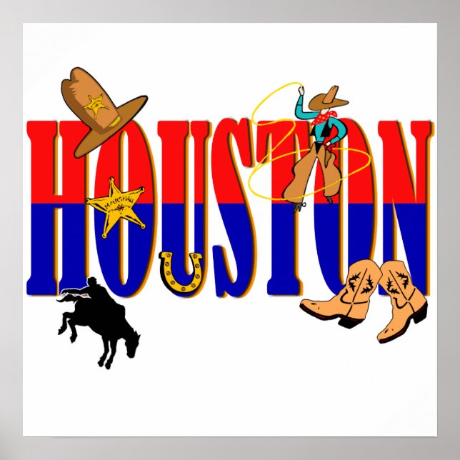 Houston Pics Poster (Vorne)