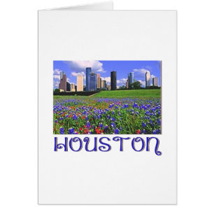 Houston Texas Bluebonnets
