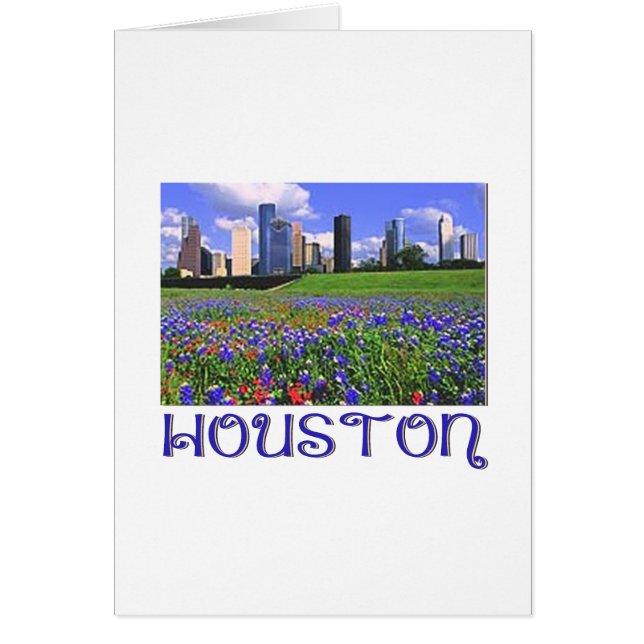 Houston Texas Bluebonnets (Vorne)