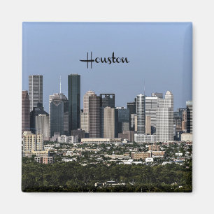Houston, Texas City City Magnet