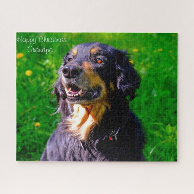 Hovawart Dog. Puzzle (Horizontal)