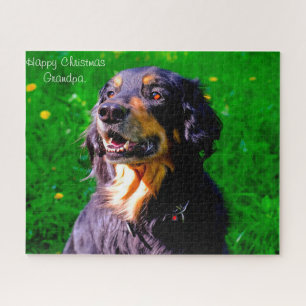 Hovawart-Hund. Puzzle
