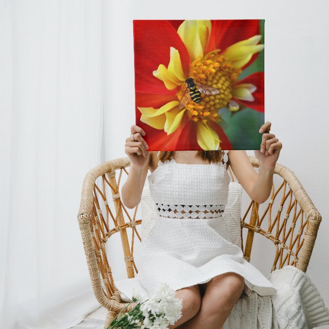 Hover Fly on Orange Collarette Dahlia Floral Leinwanddruck (Von Creator hochgeladen)