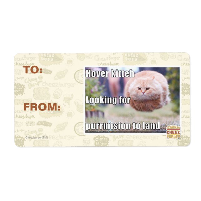 Hover kitteh (Vorne)