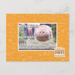 Hover kitteh postkarte