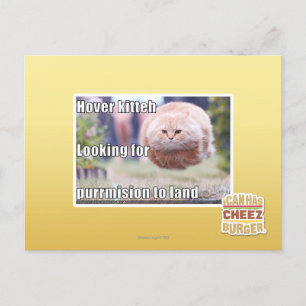 Hover kitteh postkarte