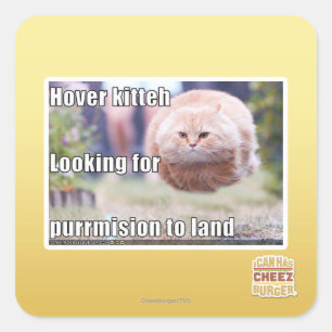 Hover kitteh quadratischer aufkleber