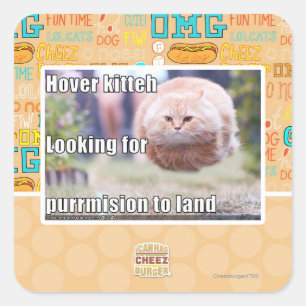 Hover kitteh quadratischer aufkleber
