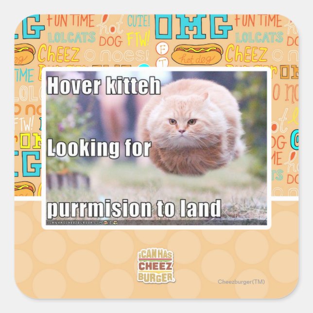 Hover kitteh quadratischer aufkleber (Vorderseite)