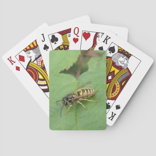 Hoverfly auf den Leaf-Spielkarten Spielkarten (Rückseite)