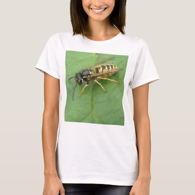 Hoverfly auf einem Leaf Ladys T-Shirt (Vorderseite)