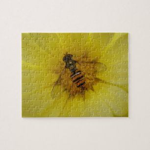 Hoverfly auf einem Marigold Puzzle
