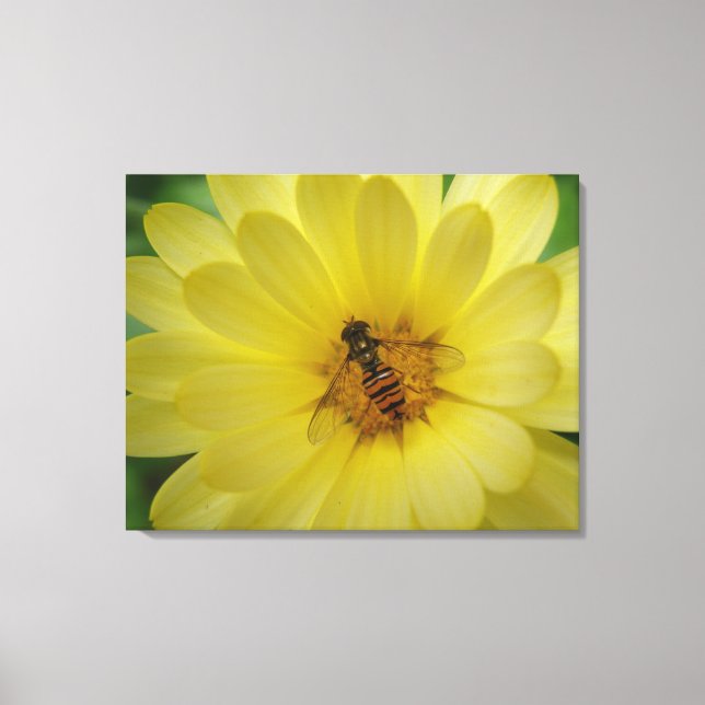 Hoverfly auf einer Marigold Canvas Print Leinwanddruck (Vorderseite)