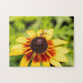 Hoverfly auf Rudbeckia Puzzle