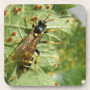 Hoverfly Cork Untersetzer