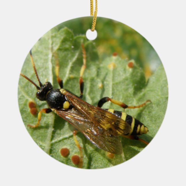 Hoverfly Custom Geburtstag Keramikornament (Vorne)