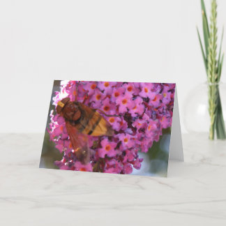 Hoverfly-Grußkarte Karte