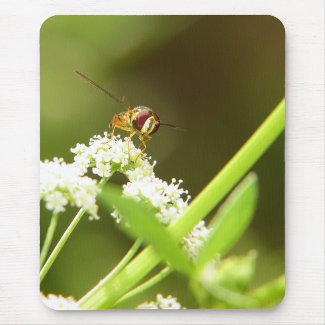 Hoverfly im Sellerie Mousepad (Vorne)