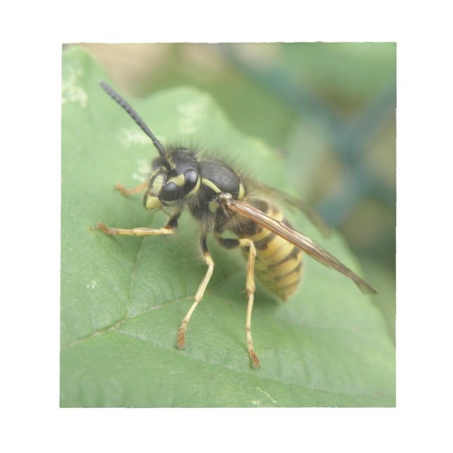 Hoverfly Macro Notepad Notizblock (Vorderseite)