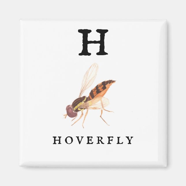 Hoverfly Magnet (Vorne)
