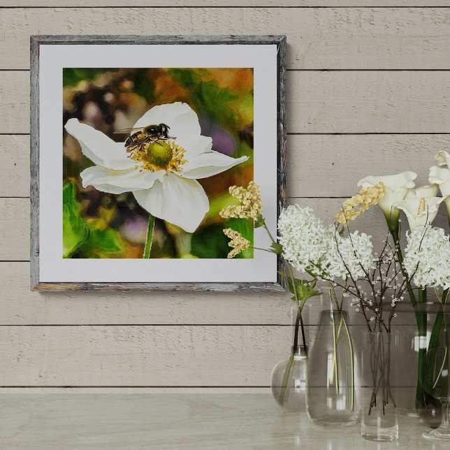 Hoverfly on White Anemone Flower - Pollination in  Fotodruck (Von Creator hochgeladen)