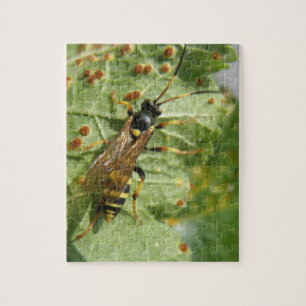 Hoverfly Puzzle