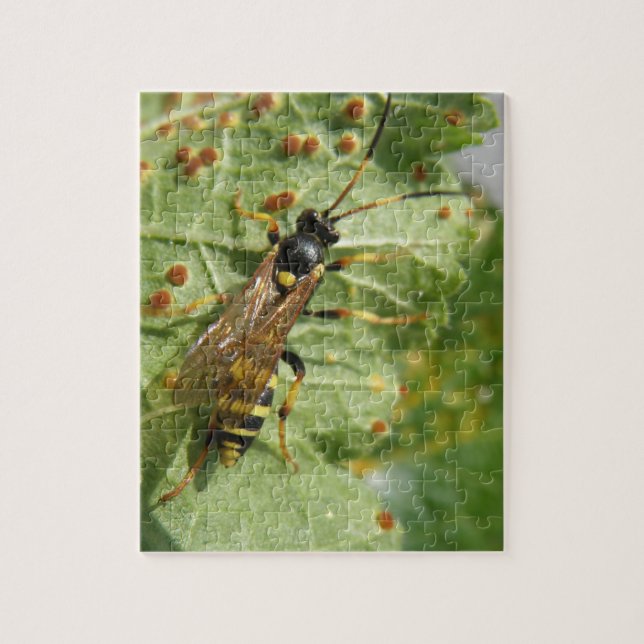 Hoverfly Puzzle (Vertikal)