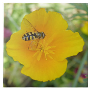 Hoverfly und kalifornische Mohnstäbchen Fliese