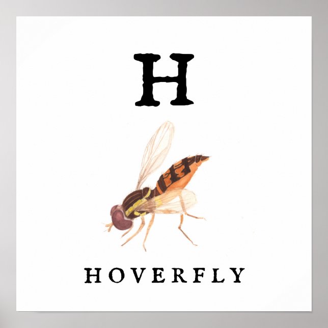 Hoverfly Value Poster Paper (Matte) (Vorne)