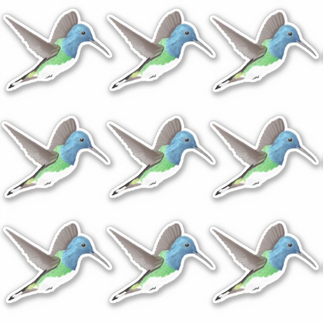 Hovering Jacobin Hummingbird - 9x maßgeschneiderte Aufkleber (Vorderseite)