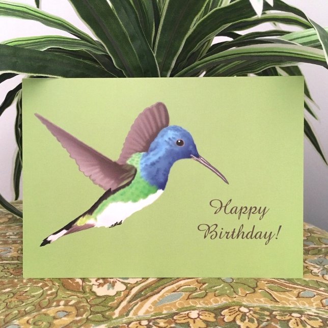 Hovering Jacobin Hummingbird - Geburtstag. Karte (Von Creator hochgeladen)