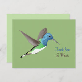 Hovering Jacobin Hummingbird - transparent. Dankeskarte