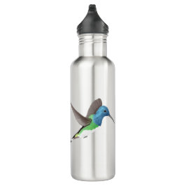 Hovering Jacobin Hummingbird - transparent. Edelstahlflasche