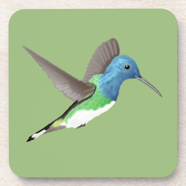 Hovering Jacobin Hummingbird - transparent. Getränkeuntersetzer (Vorderseite)