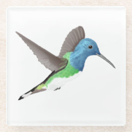 Hovering Jacobin Hummingbird - transparent. Glasuntersetzer