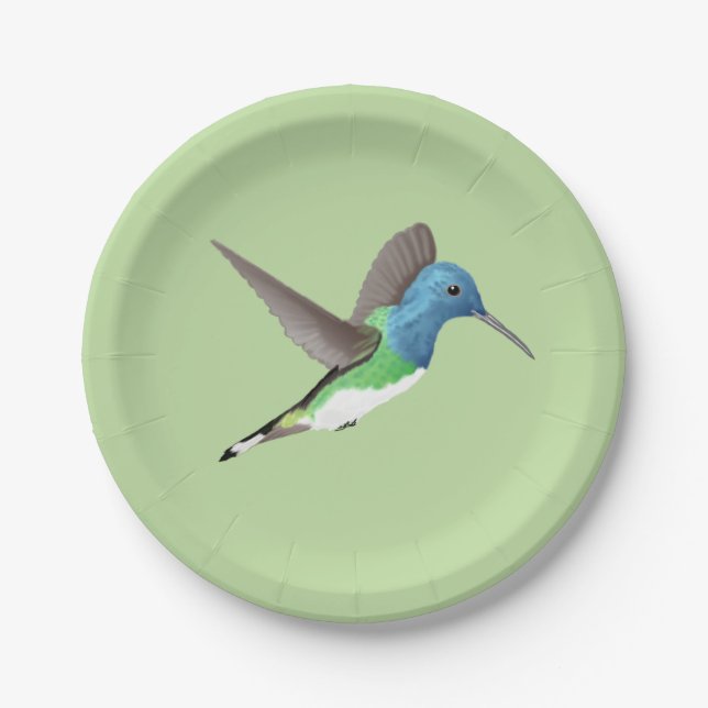 Hovering Jacobin Hummingbird - transparent. Pappteller (Vorderseite)