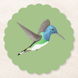 Hovering Jacobin Hummingbird - transparent. Untersetzer