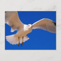 Hovering