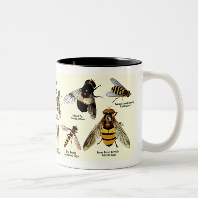 Hoveryfly Tasse - Ton 2 (Rechts)