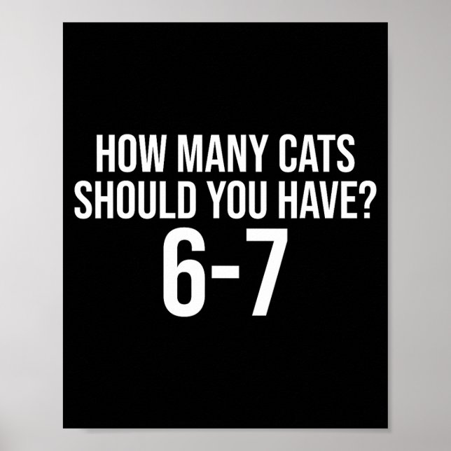 How Many Cats Should You Have 6-7 Funny 67 Meme Ca Poster (Vorne)