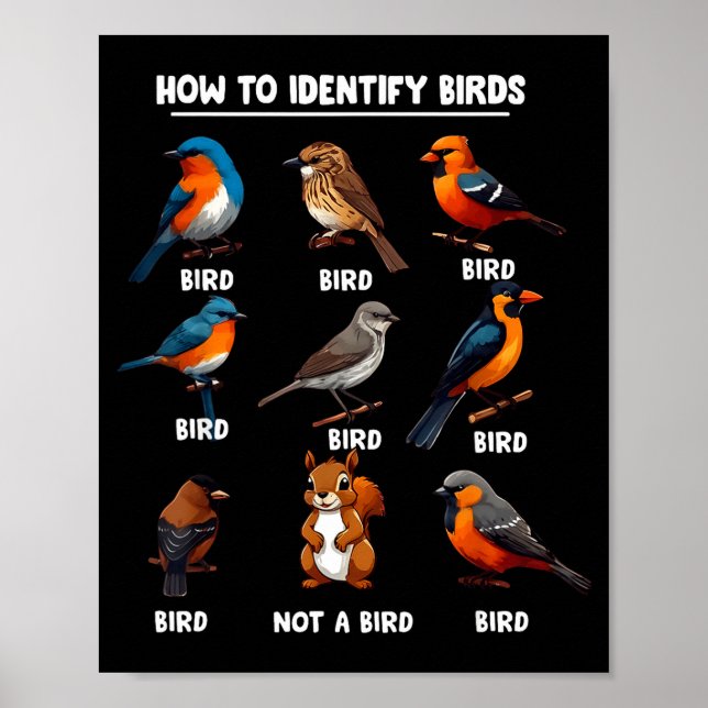 How To Identify Birds Funny Birds Identification B Poster (Vorne)