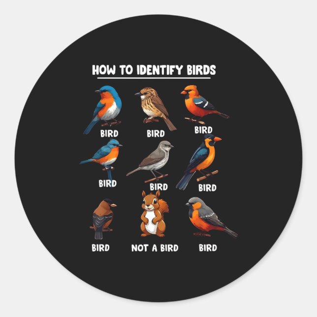 How To Identify Birds Funny Birds Identification B Runder Aufkleber (Vorderseite)