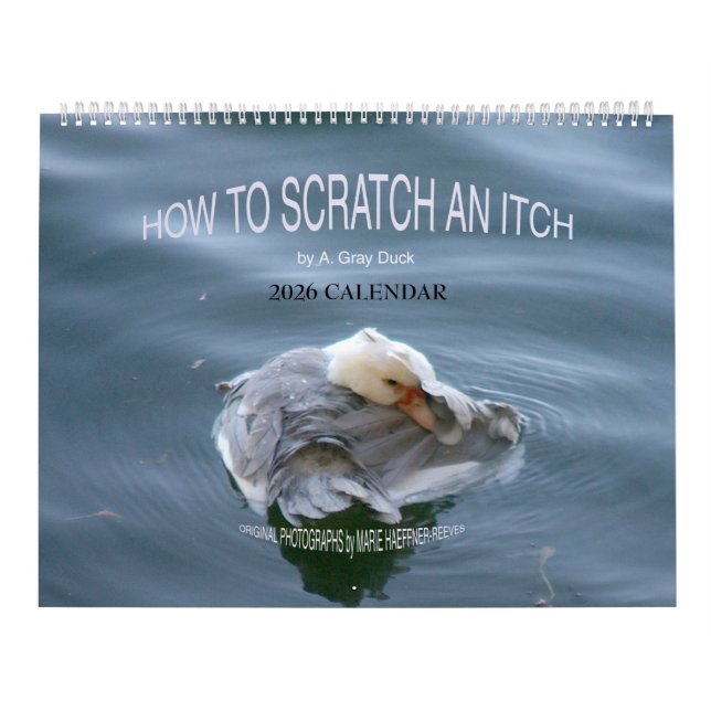 HOW TO SCRATCH AN ITCH by A. Gray Duck 2026 Kalender (Titelbild)
