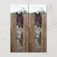 Howdy-Howdy-Horse-Bookmarkers
